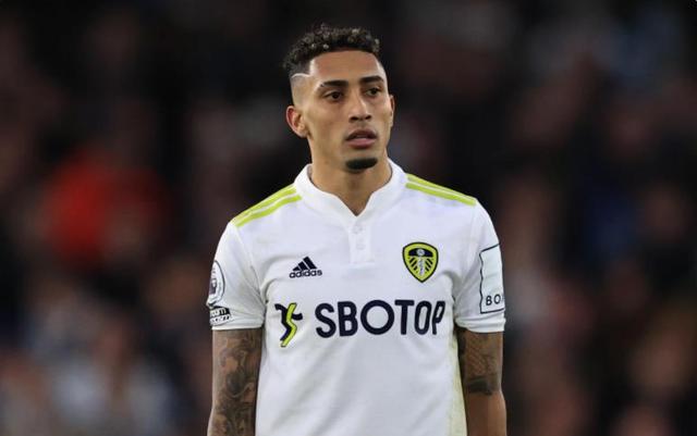 会不会成为 会不会成为